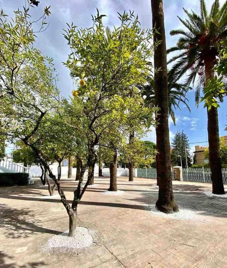 코르도바 Nuevo Los Almendros 204 Complejo Turistico 아파트 외부 사진