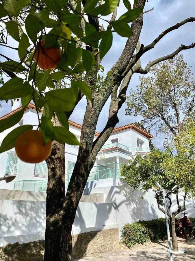 코르도바 Nuevo Los Almendros 204 Complejo Turistico 아파트 외부 사진